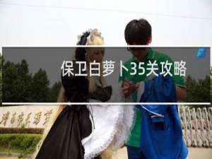 保卫白萝卜35关攻略