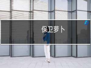 保卫萝卜+攻略+迅玩版