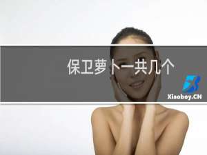 保卫萝卜一共几个
