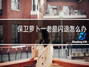 保卫萝卜一老是闪退怎么办