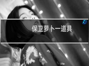 保卫萝卜一道具