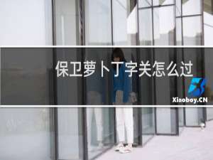 保卫萝卜丁字关怎么过