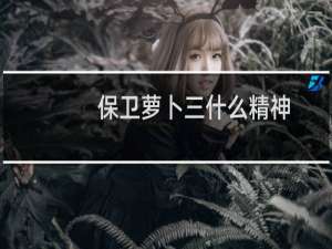 保卫萝卜三什么精神