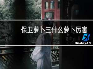 保卫萝卜三什么萝卜厉害