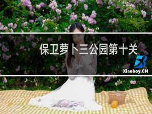 保卫萝卜三公园第十关