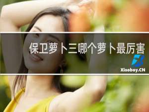 保卫萝卜三哪个萝卜最厉害