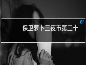 保卫萝卜三夜市第二十