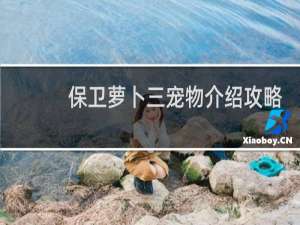保卫萝卜三宠物介绍攻略