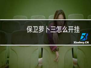 保卫萝卜三怎么开挂