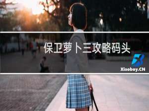 保卫萝卜三攻略码头