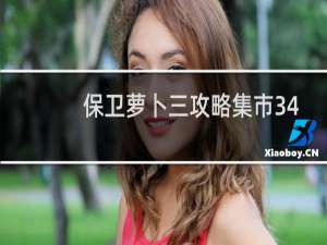 保卫萝卜三攻略集市34