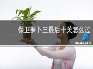 保卫萝卜三最后十关怎么过