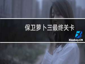 保卫萝卜三最终关卡
