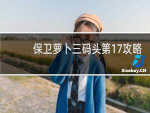 保卫萝卜三码头第17攻略