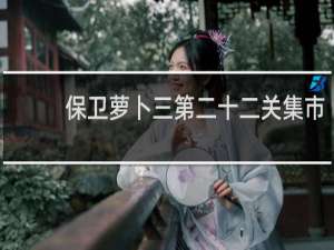 保卫萝卜三第二十二关集市