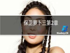 保卫萝卜三第2章