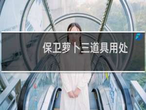 保卫萝卜三道具用处