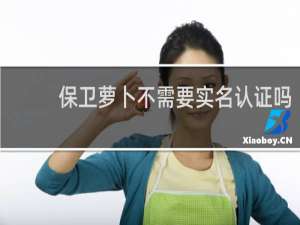 保卫萝卜不需要实名认证吗