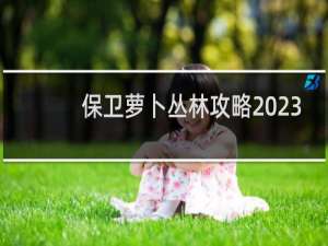 保卫萝卜丛林攻略 23