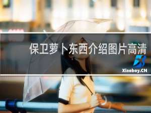 保卫萝卜东西介绍图片高清