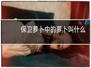 保卫萝卜中的萝卜叫什么