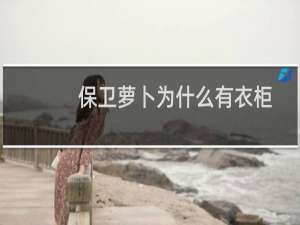 保卫萝卜为什么有衣柜