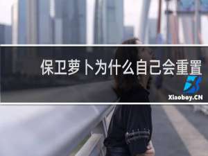 保卫萝卜为什么自己会重置