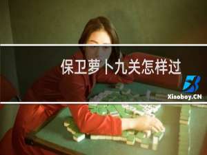 保卫萝卜九关怎样过