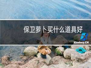 保卫萝卜买什么道具好