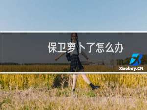 保卫萝卜了怎么办
