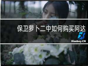 保卫萝卜二中如何购买阿达