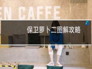 保卫萝卜二图解攻略