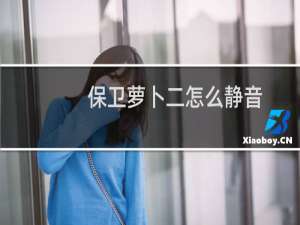 保卫萝卜二怎么静音