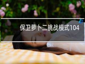 保卫萝卜二挑战模式104