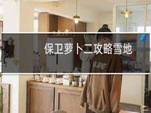 保卫萝卜二攻略雪地
