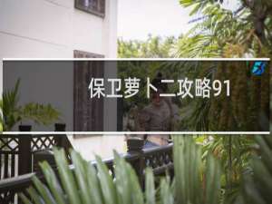 保卫萝卜二攻略91