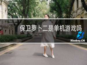 保卫萝卜二是单机游戏吗