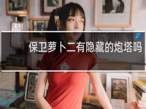 保卫萝卜二有隐藏的炮塔吗