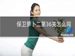 保卫萝卜二第36关怎么闯