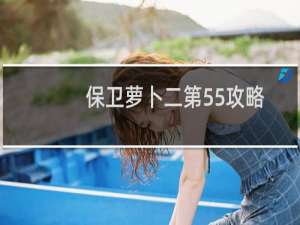 保卫萝卜二第55攻略