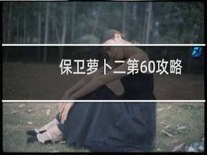 保卫萝卜二第60攻略