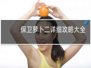 保卫萝卜二详细攻略大全