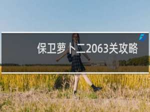 保卫萝卜二 63关攻略