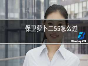 保卫萝卜二55怎么过
