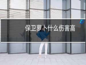 保卫萝卜什么伤害高