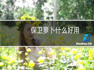 保卫萝卜什么好用