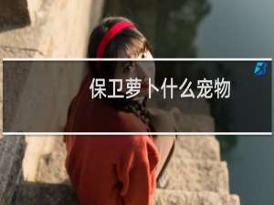保卫萝卜什么宠物