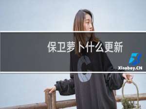 保卫萝卜什么更新