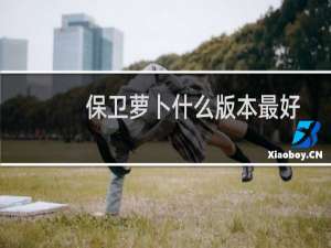 保卫萝卜什么版本最好