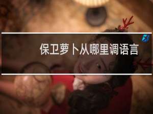 保卫萝卜从哪里调语言